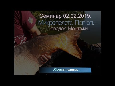 Видео: Ловля карпа. Дикий водоем. Поп-ап. Монтажи. Семинар в Хмельницком