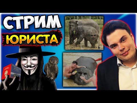 Видео: [Стрим Юриста] Про стрим с Валакасом I Фотолупы I Видосы и тд.