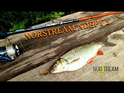 Видео: Norstream Adept 2 - опыт использования