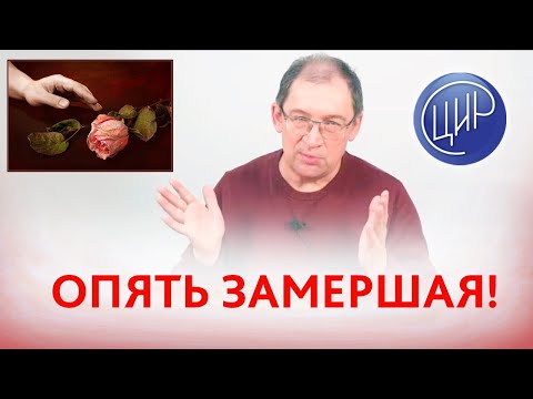 Видео: 5 замершая беременность. Триплоидия 69 xxy и волчаночный антикоагулянт. Что делать?