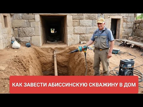 Видео: Абиссинка прямо в дом. // Консервы