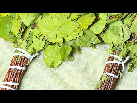 Видео: Урок 14. Парение рук в бане вениками