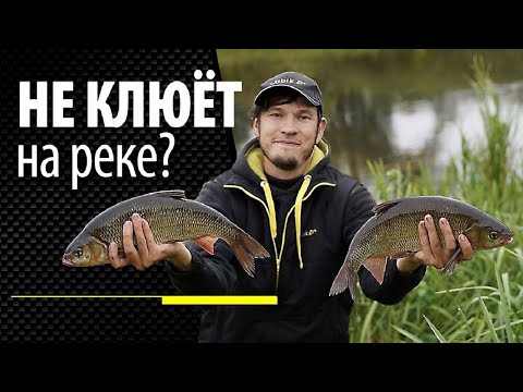 Видео: ОШИБКИ при ловле фидером на реке / Как заставить рыбу клевать?
