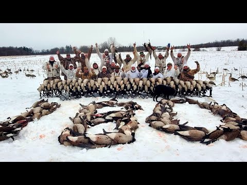 Видео: Сумасшедшая охота в Канаде на гуся