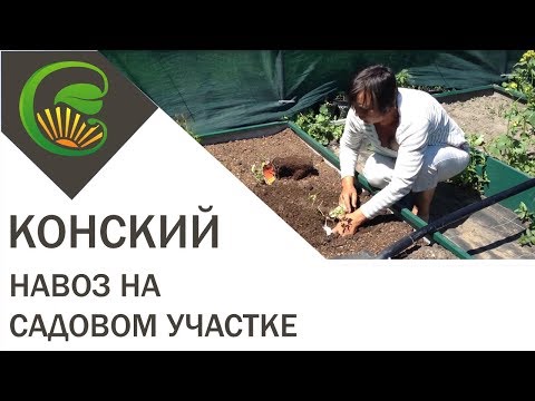 Видео: Конский навоз  на садовом участке