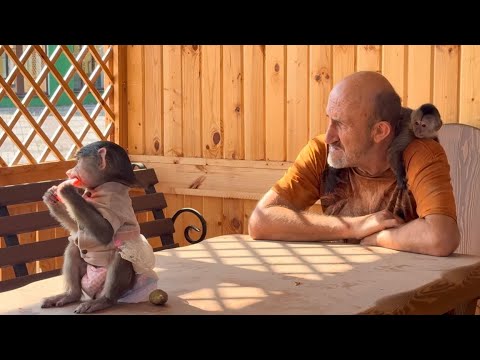 Видео: Мы идем на прогулку и Анфиса с Фиником как друзья держатся за лапки)))