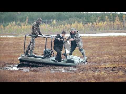 Видео: Тест-драйв вездехода TINGER ARMOR на болоте