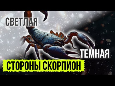 Видео: Скорпион характер: светлые и тёмные стороны знака | Как обрести внутреннюю гармонию