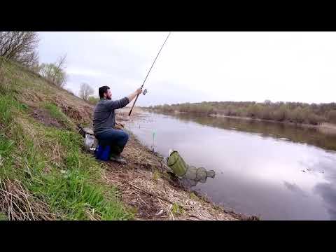 Видео: Первая Весенняя Фидерная рыбалка на Реке Дон