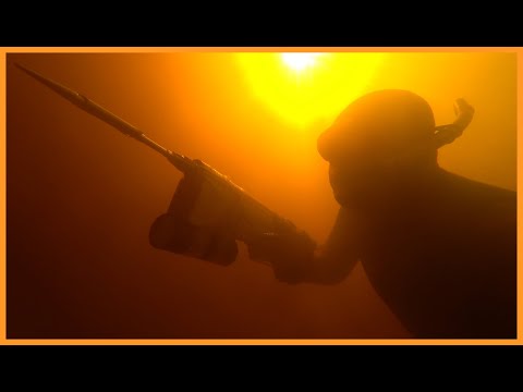 Видео: ПОЛЮВАННЯ НА СОМА ПІД  ДАХАМИ #ЕПІЗОД6 | ПІДВОДНЕ ПОЛЮВАННЯ 2024