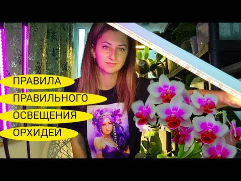 Видео: Все СЕКРЕТЫ дополнительного освещения ОРХИДЕЙ 📌 ЭТО ВАЖНО Знать КАЖДОМУ📌
