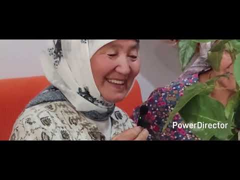 Видео: Бакай-Ата.Бүгүн ,,Шерине" ,,Адис" кафесинде.