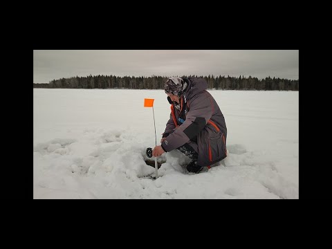Видео: Рыбалка на Озере. Щука на Жерлицы. Заполняем Избу Материалом.