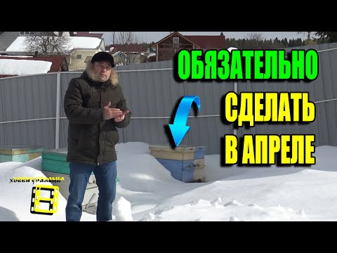 Видео: СРОЧНАЯ КОРРЕКТИРОВКА РАБОТ НА ПАСЕКЕ ИЗ-ЗА ЗАТЯЖНОЙ ВЕСНЫ. ДЛЯ НАЧИНАЮЩИХ ПЧЕЛОВОДОВ 22-13