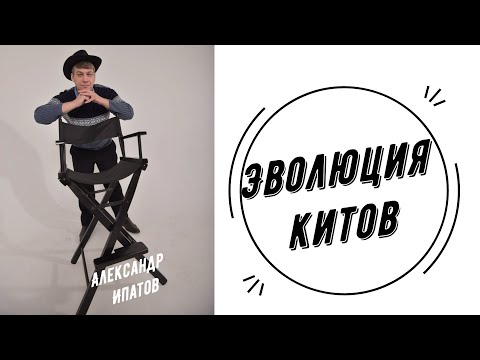 Видео: Эволюция Китов  | Александр Ипатов