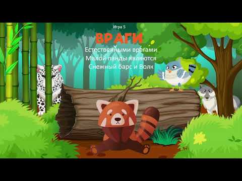 Видео: Дементьев Степан «Линейная мультимедийная презентация "Фауна. Млекопитающие. Малая панда"»