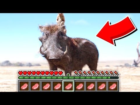 Видео: КАК ИГРАТЬ ЗА ПУМБУ В МАЙНКРАФТЕ? МАЙНКРАФТ ПРЕВРАЩЕНИЯ КОРОЛЬ ЛЕВ