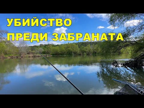 Видео: ПРОЛЕТЕН РИБОЛОВ на РЕКА с ПЛУВКА на ИЗТИЧАНЕ - НАМЕРИХМЕ, КЪДЕ се КРИЯТ РИБИТЕ ПРЕДИ ЗАБРАНАТА