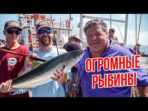 Видео: Ставим РЕКОРДЫ по ловле Желтохвоста! #спортивнаярыбалка
