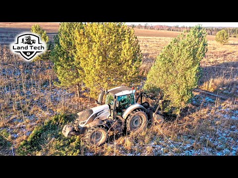 Видео: Трактор с мульчером уничтожает большие деревья! VALTRA T234 с мульчером FAE 225