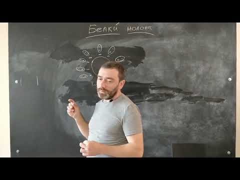 Видео: 3. Составные части молока. Белки.