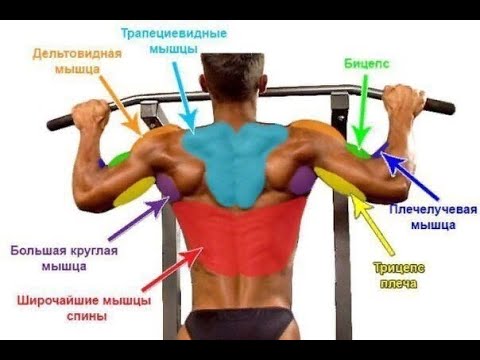 Видео: ШИРОЧАЙШИЕ - Турник или Блок - Как не надорвать Трицепсы