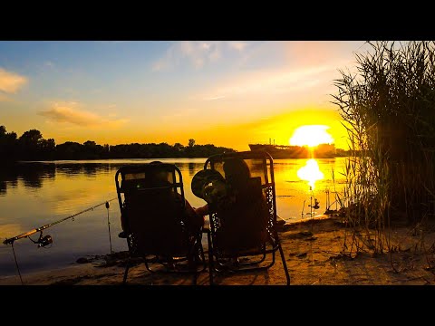 Видео: РЫБАЛКА НА ТЕПЛОМ КАНАЛЕ !!!