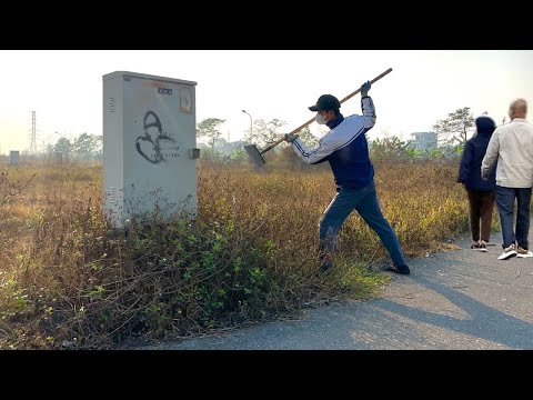 Видео: Люди счастливы и удивлены тем, как изменился тротуар после уборки.