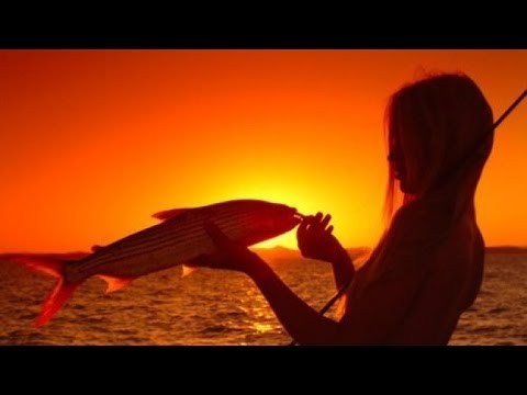 Видео: Рыбалка. Волга. Белая рыбка. Разговор о канале и рыбалка в заливе.