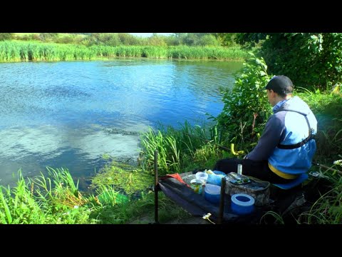 Видео: Рибалка на Горині в День Незалежності! Чи зловимо щось після двох місяців перерви?