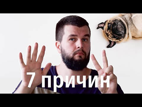 Видео: 7 причин, почему болеют собаки