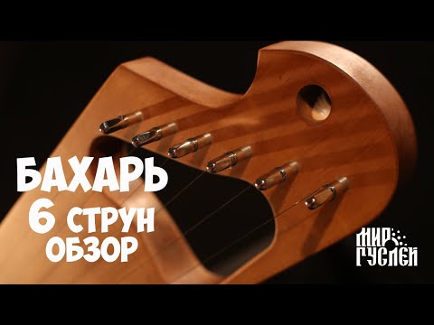 Видео: Обзор гуслей Бахарь, 6 струн