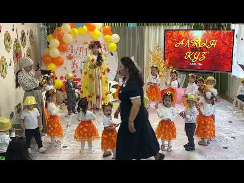 Видео: 16 октября 2025 г.