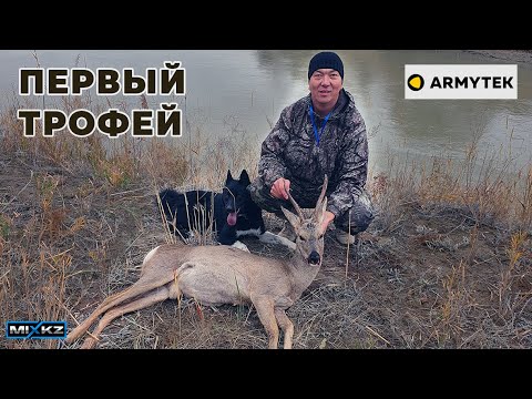 Видео: Трофейная охота, Первый трофей ШАХа, охота на косулю, еликке аншылык, лайка на косулю