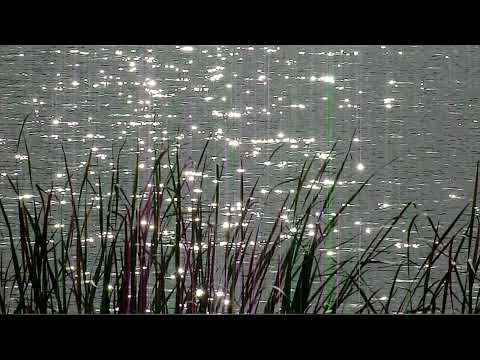 Видео: Свидетельство О Смерти - Подводная лодка(Slowed+Reverb)