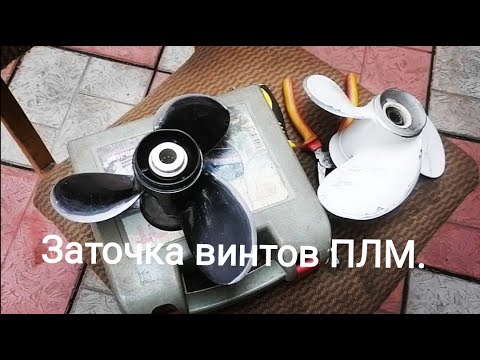 Видео: Тупой и ещё тупее.