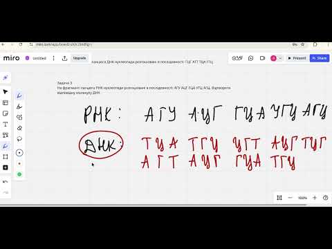 Видео: 9 клас Структура білка, ДНК (задачі)