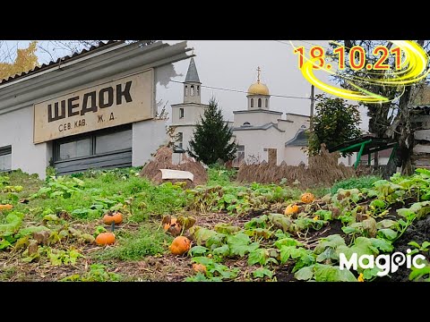 Видео: Утро в селе! Шедок. Мостовской район.18 октября 2021 г.
