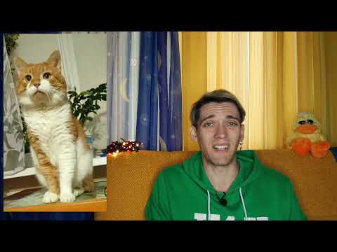 Видео: КОТ КУЗЯ СЕВЕРОДВИНСК — ПЕРВЫЙ СУД И ПОСЛЕДНИЕ НОВОСТИ