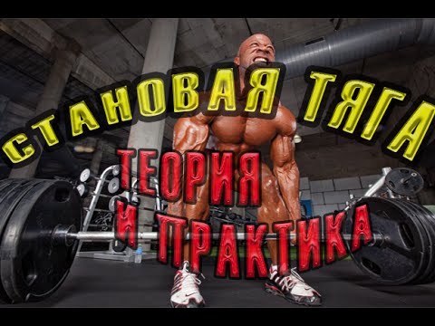 Видео: Становая тяга (теория и практика)