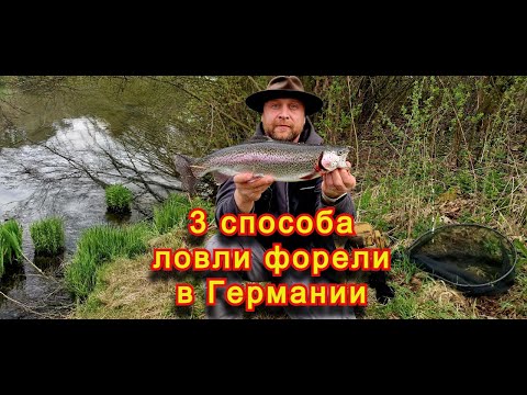Видео: Как ловить форель в Германии. Три основные способы ловли на платных озерах.