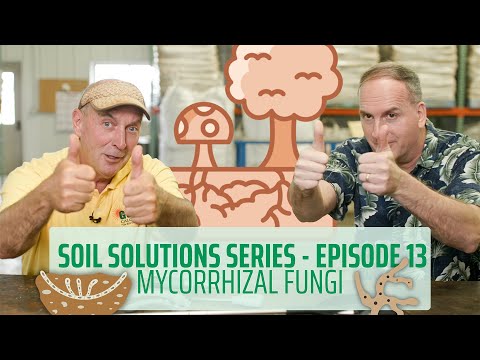 Видео: Серия почвенных решений | Эп. 13 | Одержимость микоризными грибами #здоровье почвы #здоровье раст...