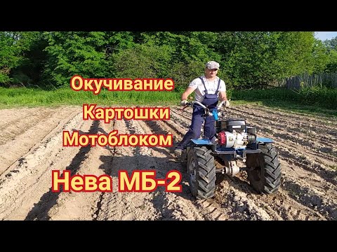 Видео: Первое окучивание картофеля мотоблоком 2021 с дисковым окучником.