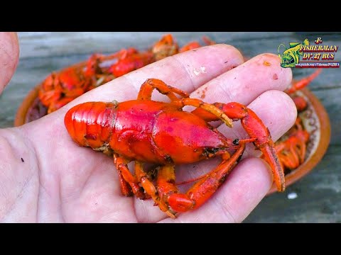 Видео: Жареные раки по-китайски, в казане на костре рецепт от Fisherman DV27RUS