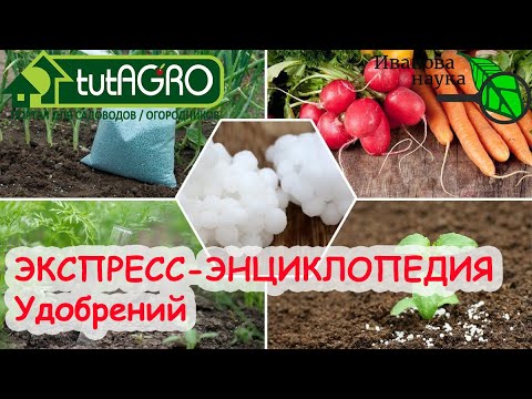 Видео: ВСЁ ОБ УДОБРЕНИЯХ за пару минут! ЧЕМ (НЕ) СТОИТ КОРМИТЬ РАССАДУ.