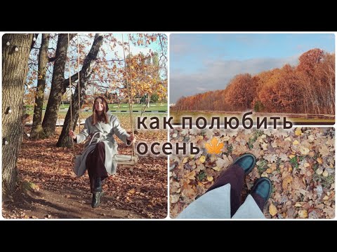 Видео: Осенний день - тыквенный пирог, прогулка по лесу и уют в доме 🕯️🍂