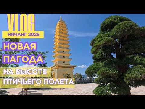 Видео: [VLOG] ПАГОДА ИЗ ЗОЛОТА В НЯЧАНГЕ (07.08.25)