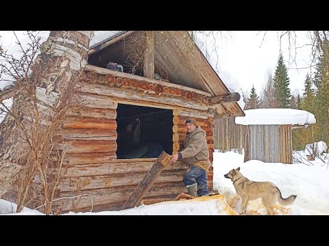 Видео: ТЕПЕРЬ В ИЗБУШКЕ БУДЕТ ПЛАСТИКОВОЕ ОКНО / ЗАЕЗД В ТАЙГУ С НОЧЁВКОЙ / НУЖНО УСПЕТЬ ДО СУМЕРЕК.
