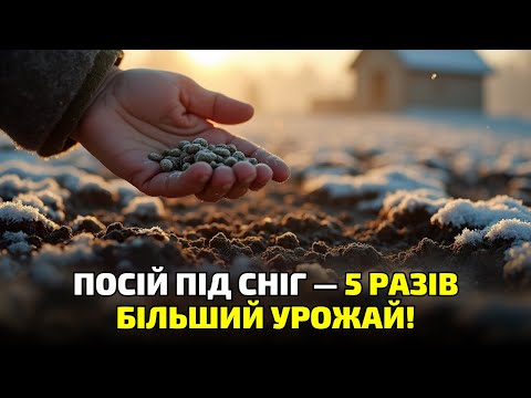 Видео: Сієш весною? Ти втрачаєш половину врожаю! Розкриваю секрет посіву під сніг!