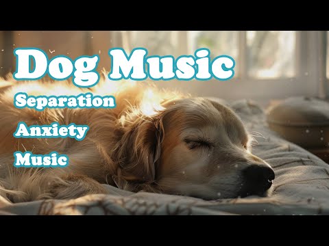 Видео: Музыка для собак: 💖Нежные песни для улучшения сна и лечения депрессии!